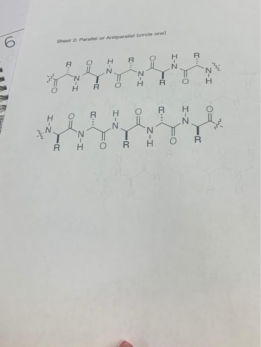 Solved Basic Concepts Worksheet Description Peptides Chegg