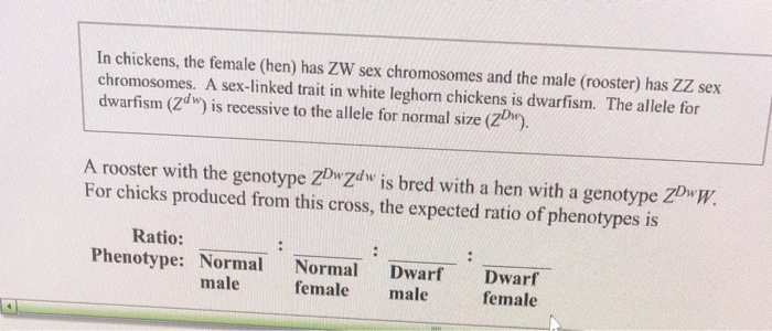 Solved In Chickens The Female Hen Has ZW Sex Chromosomes Chegg