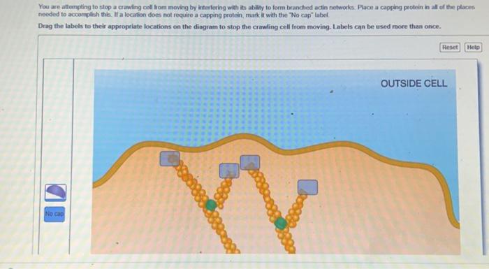 Solved You Are Atfernpting To Stop A Crawling Coll From Chegg