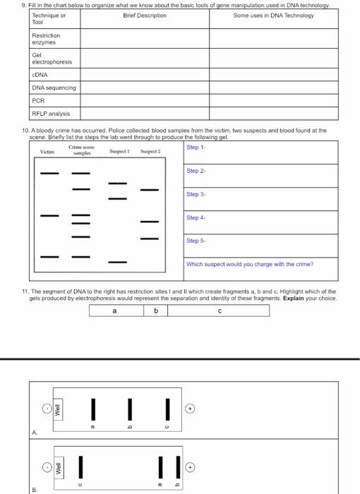 Solved Ap Biology Gene Regulation And Biotechnology Review Chegg