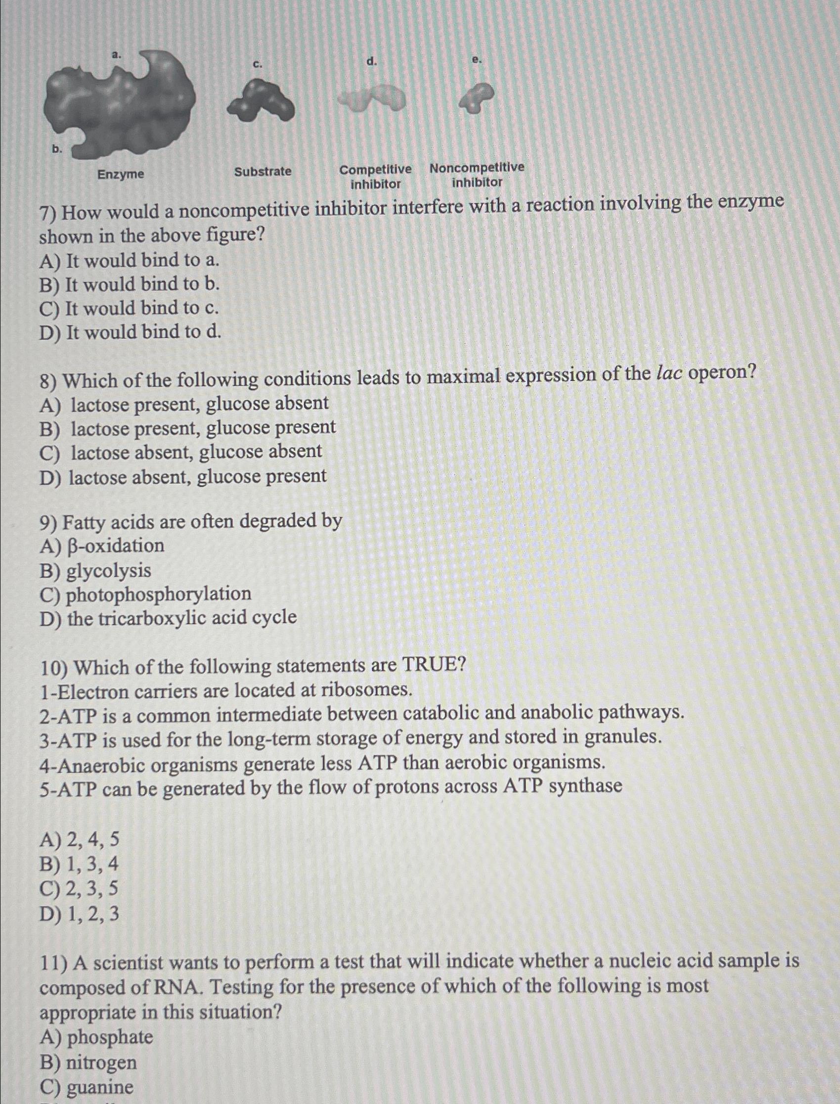 Solved Inhibitor Inhibitorhow Would A Noncompetitive Chegg