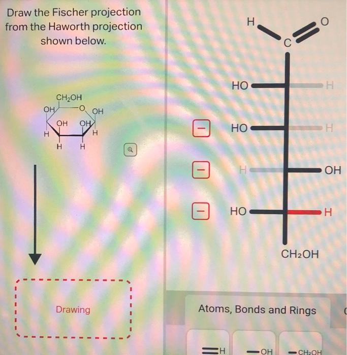 Solved Draw The Fischer Projection From The Haworth Chegg