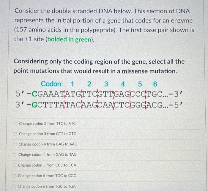 Solved Consider The Double Stranded Dna Below This Section Chegg