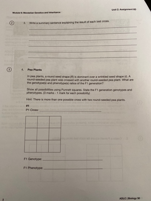 Solved Unit C Assignment 6D Module 6 Mendelian Genetics Chegg