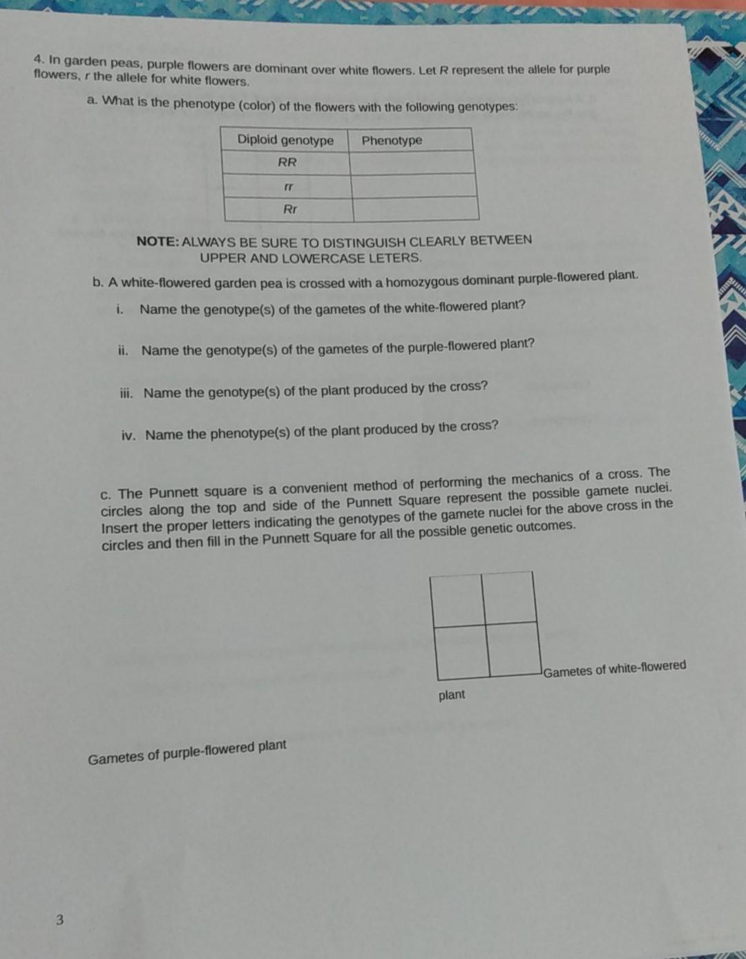 Solved Bio 10 Joanna LAB 11 REPORT HEREDITY AND MENDELIAN Chegg