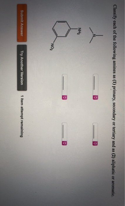 Solved Classify Each Of The Following Amines As Primary Chegg