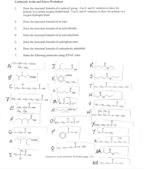 Solved Carboxylic Acids And Esters Worksheet Draw Chegg