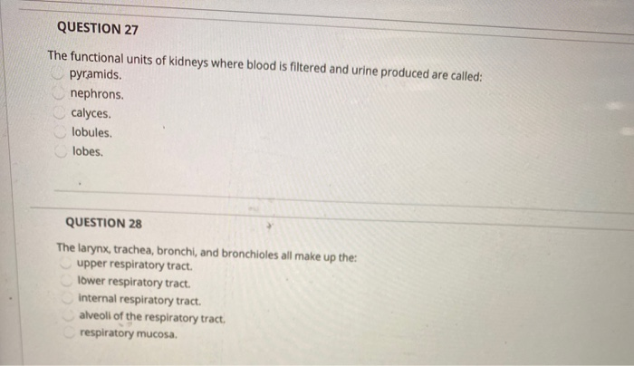 Solved QUESTION 23 The Amount Of Filtrate Produced By The Chegg