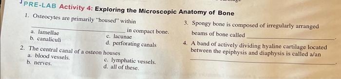 Solved Pre Lab Activity Exploring The Microscopic Anatomy Chegg