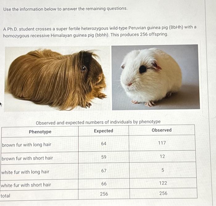 Solved Use The Information Below To Answer The Remaining Chegg