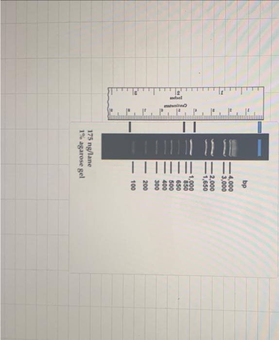 Solved Construct A Standard Curve Plot And Determine The Chegg