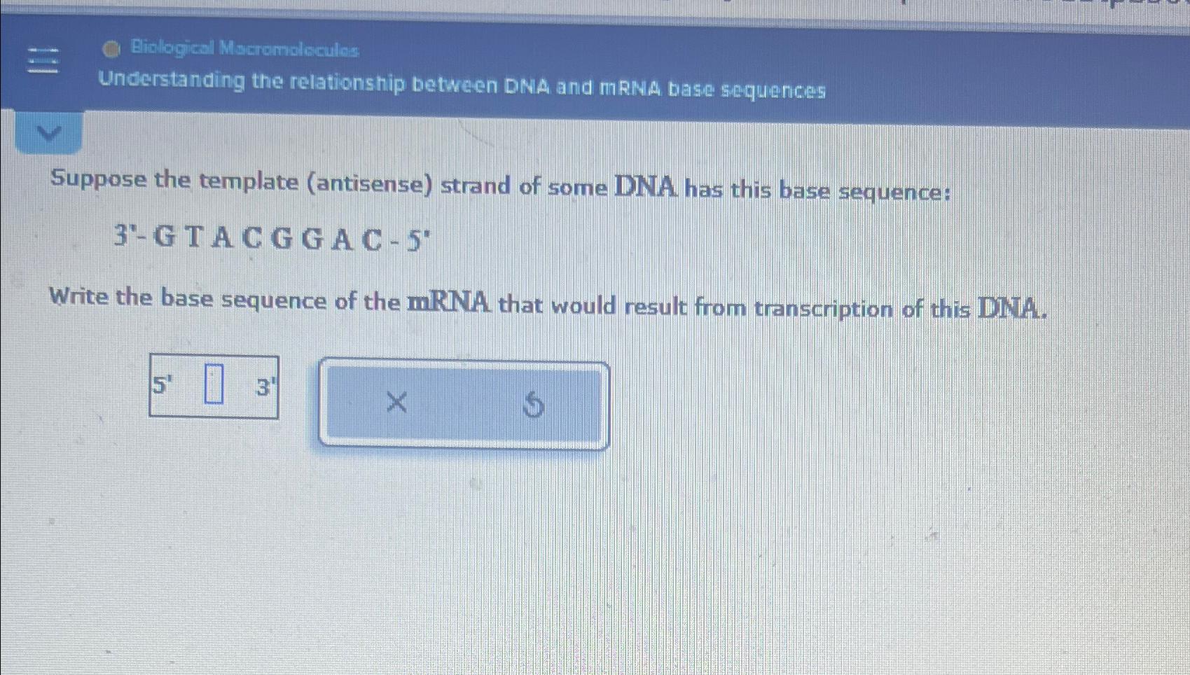 Solved Suppose The Template Antisense Strand Of Some DNA Chegg