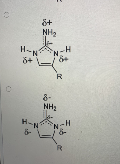 Solved Apply The Skill Get Help Answering Molecular Chegg