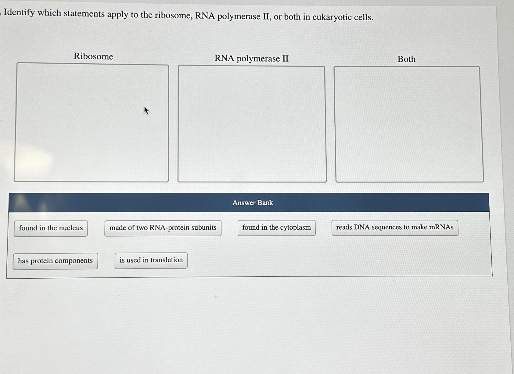 Solved Identify Which Statements Apply To The Ribosome Rna Chegg