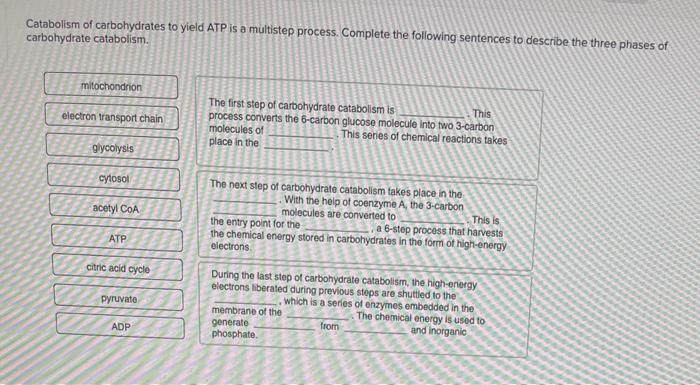 Solved Catabolism Of Carbohydrates To Yield Atp Is A Chegg