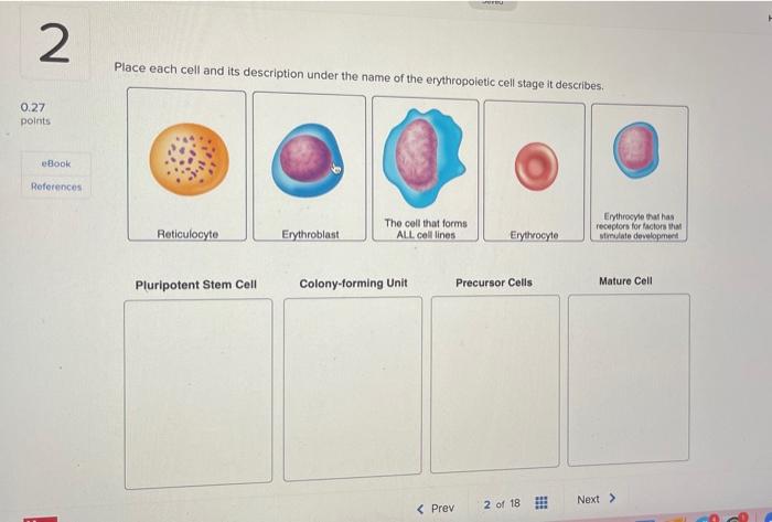 Solved Place Each Cell And Its Description Under The Name Chegg