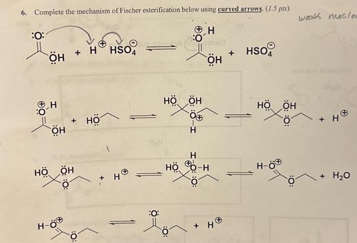 Solved Complete The Mechanism Of Fischer Esterification Chegg