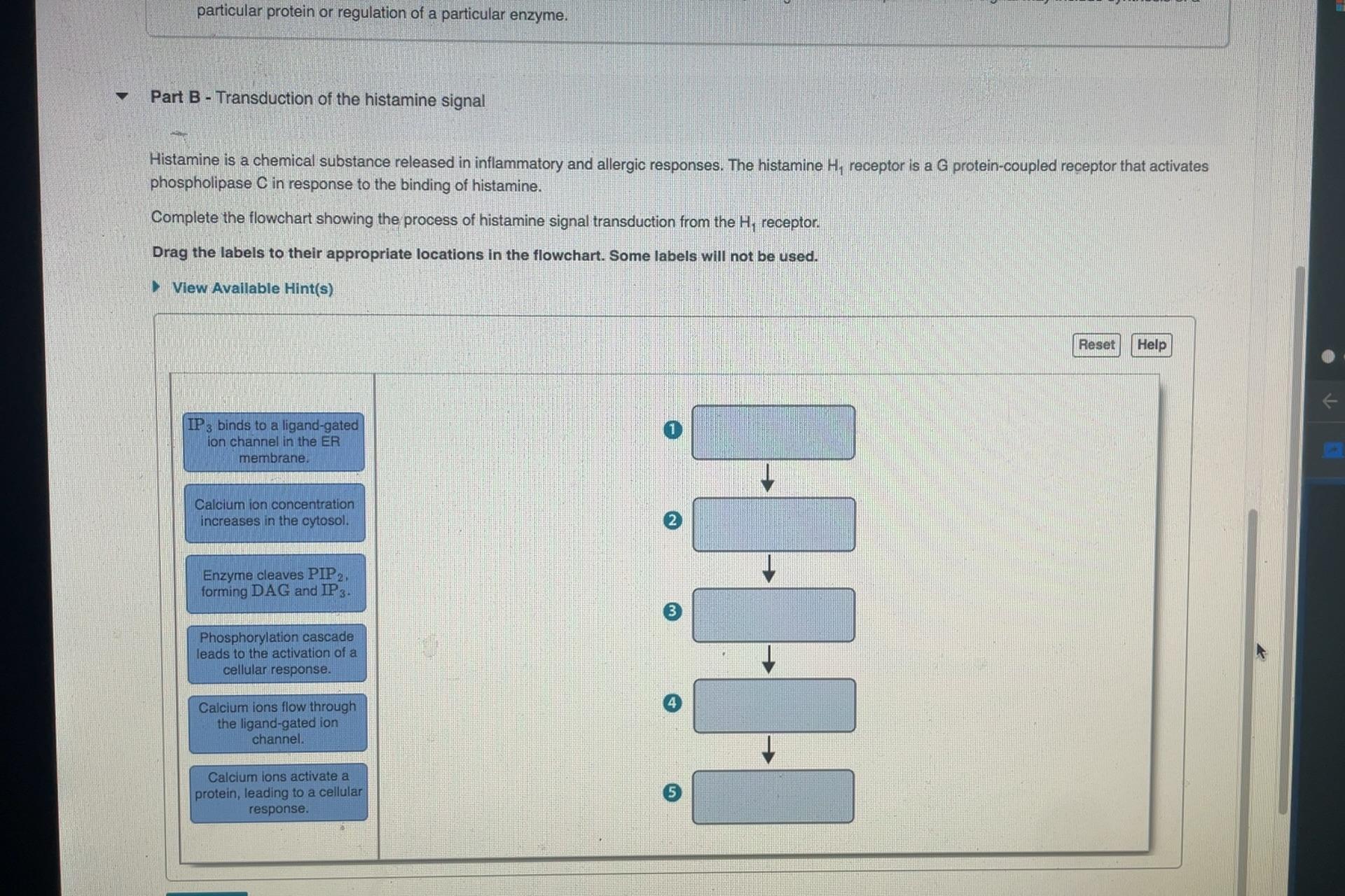 Solved Part B Transduction Of The Histamine Chegg