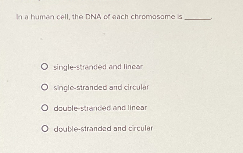 Solved In A Human Cell The Dna Of Each Chromosome Chegg