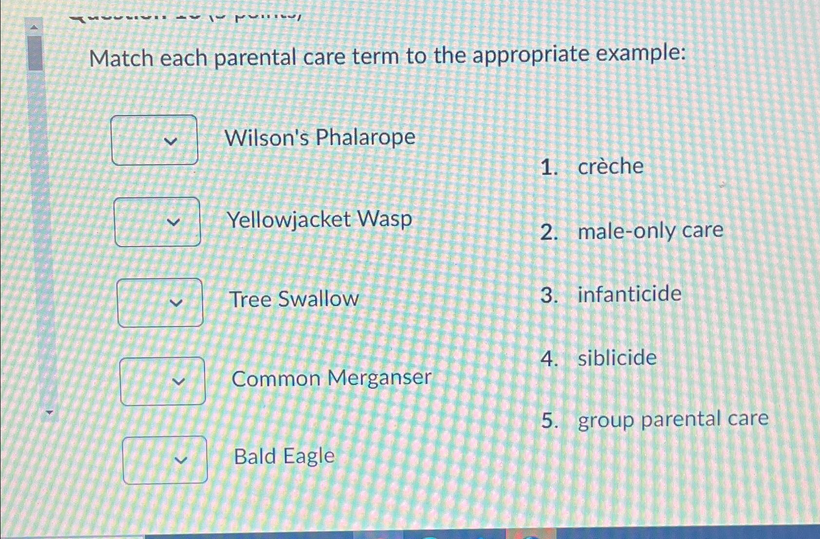 Solved Match Each Parental Care Term To The Appropriate Chegg