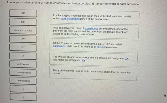 Solved Place The Correct Word In Each Sentence To Assess Chegg