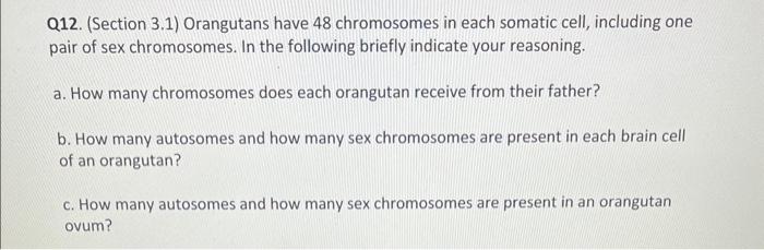 Solved Q Section Orangutans Have Chromosomes In Chegg