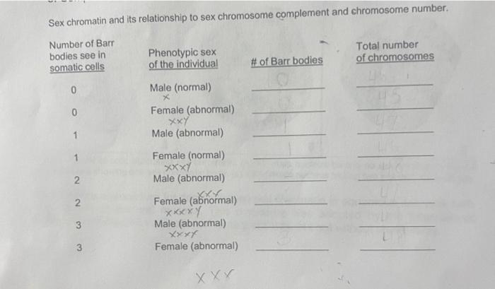 Solved Sex Chromatin And Its Relationship To Sex Chromosome Chegg