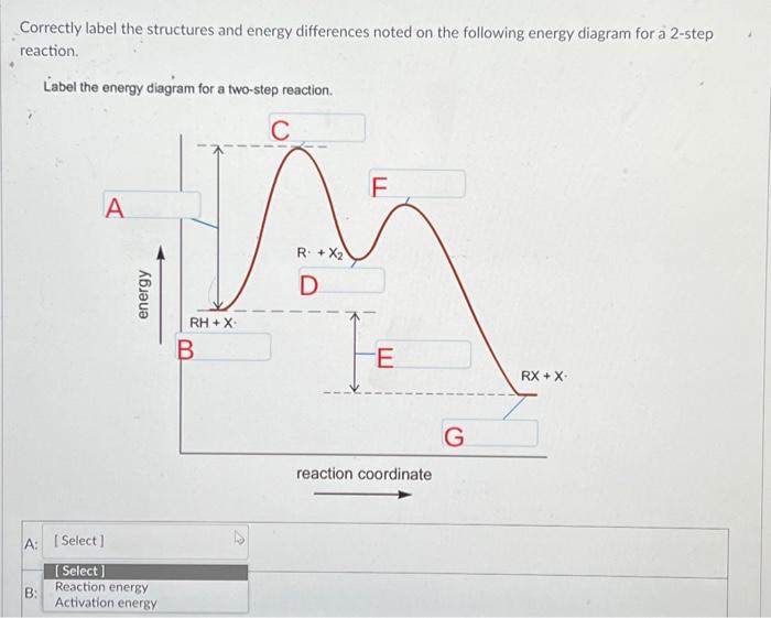 Solved Correctly Label The Structures And Energy Differences Chegg