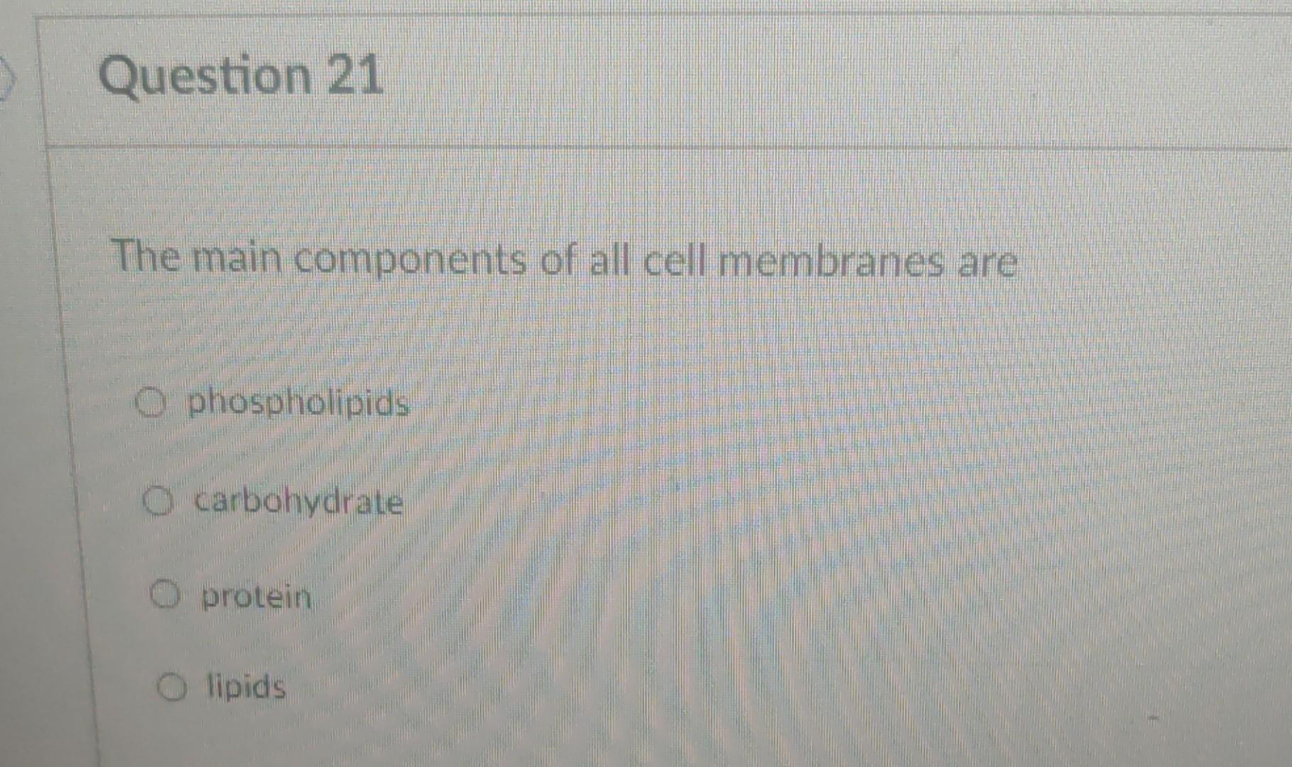 Solved How Many Biologically Important Amino Acids Are Found Chegg