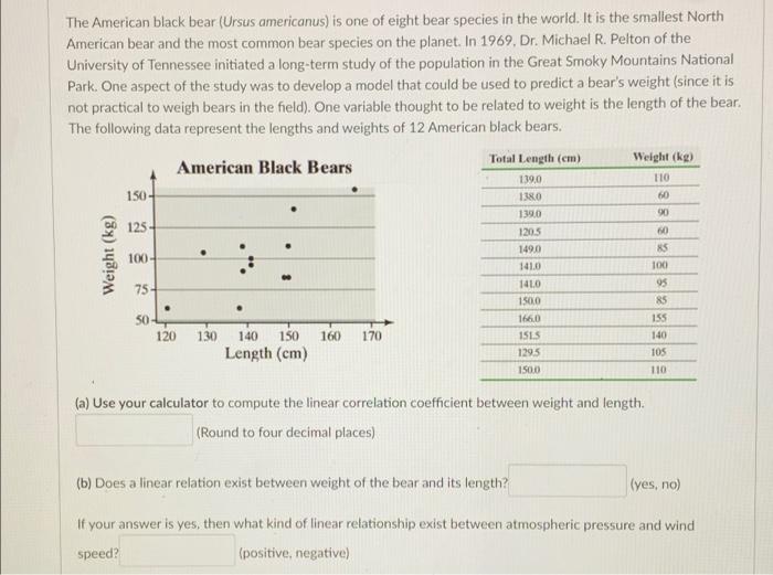 Solved The American Black Bear Ursus Americanus Is One