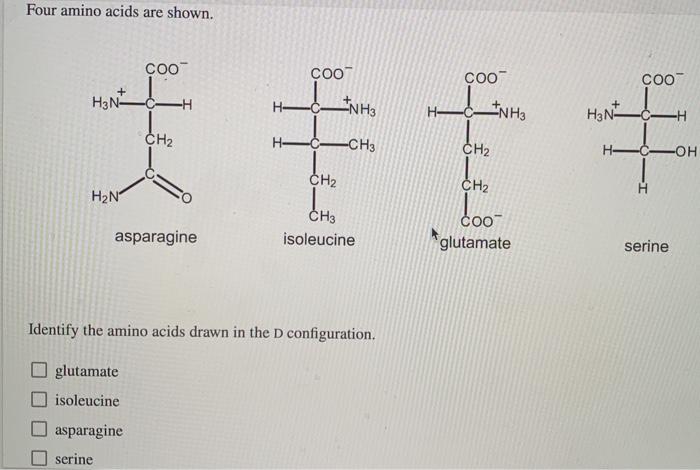 Solved Four Amino Acids Are Shown Coo Coo Coo Coo H N H Chegg