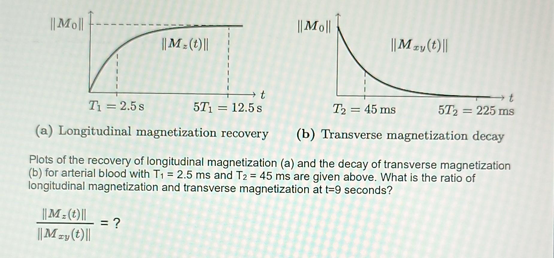 Solved Plots Of The Recovery Of Longitudinal Magnetization Chegg