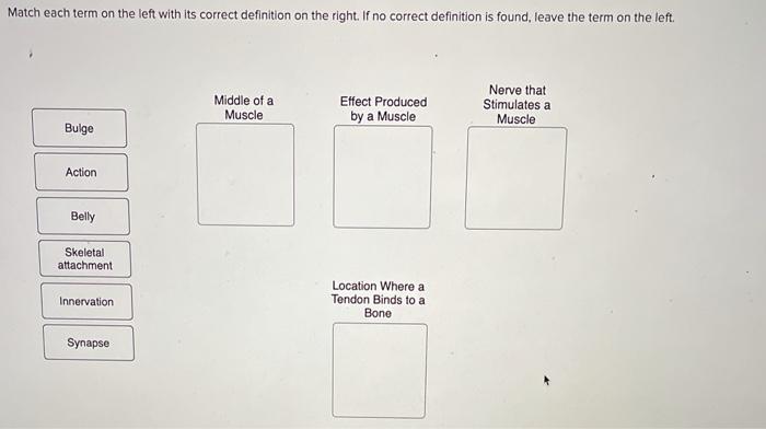 Solved Match Each Term On The Left With Its Correct Chegg