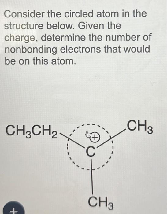 Solved Consider The Circled Atom In The Structure Below Chegg