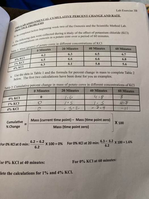 Solved Lab Exercise B Cumulative Percent Change And Rate Chegg