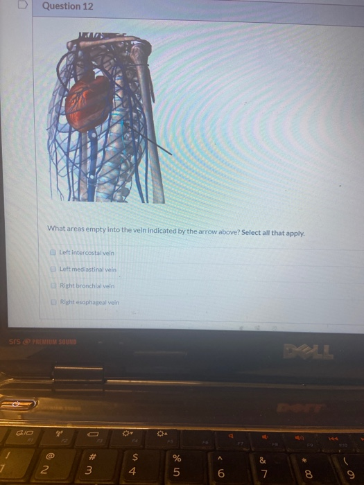 Solved Question 12 What Areas Empty Into The Vein Indicated Chegg