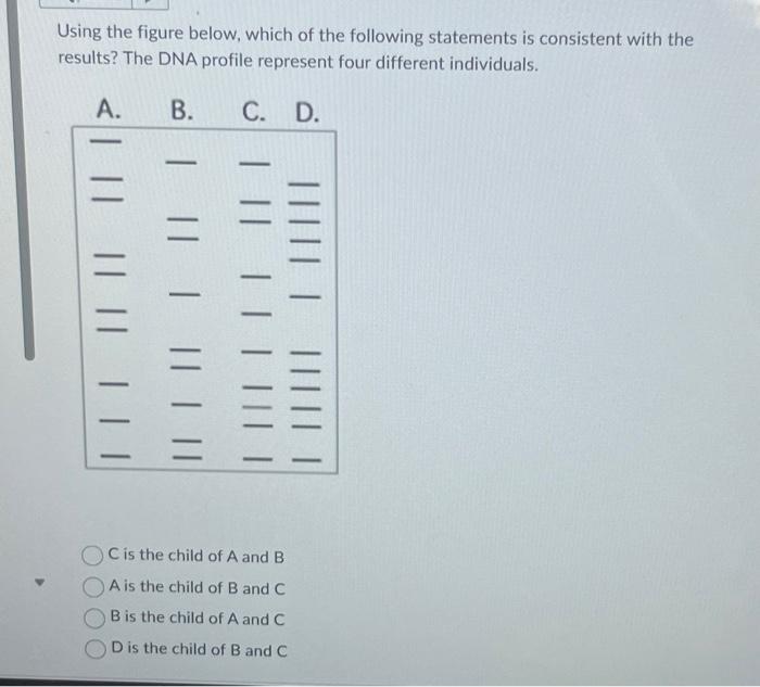 Solved Using The Figure Below Which Of The Following Chegg