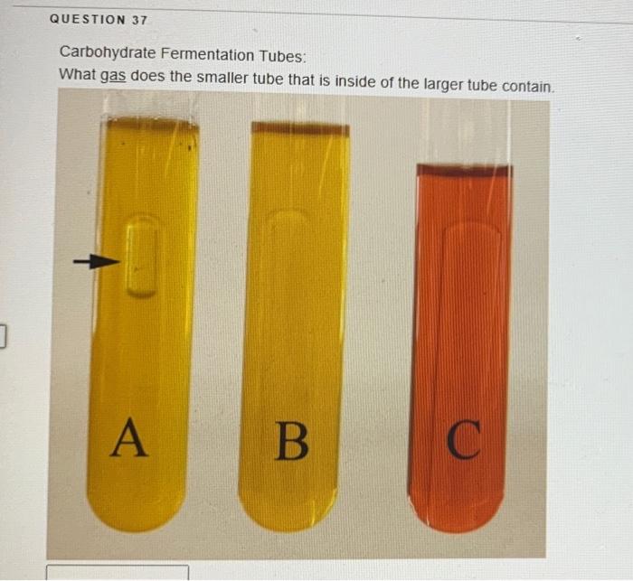 Solved Question Carbohydrate Fermentation Tubes What Gas Chegg