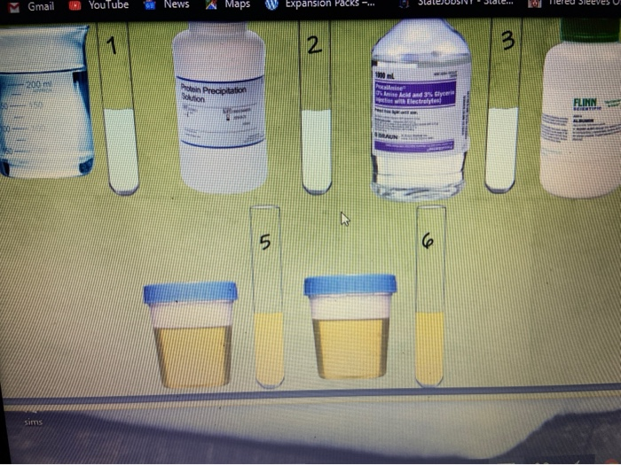 Solved Biuret S Solution Tests For Proteins A Positive Chegg