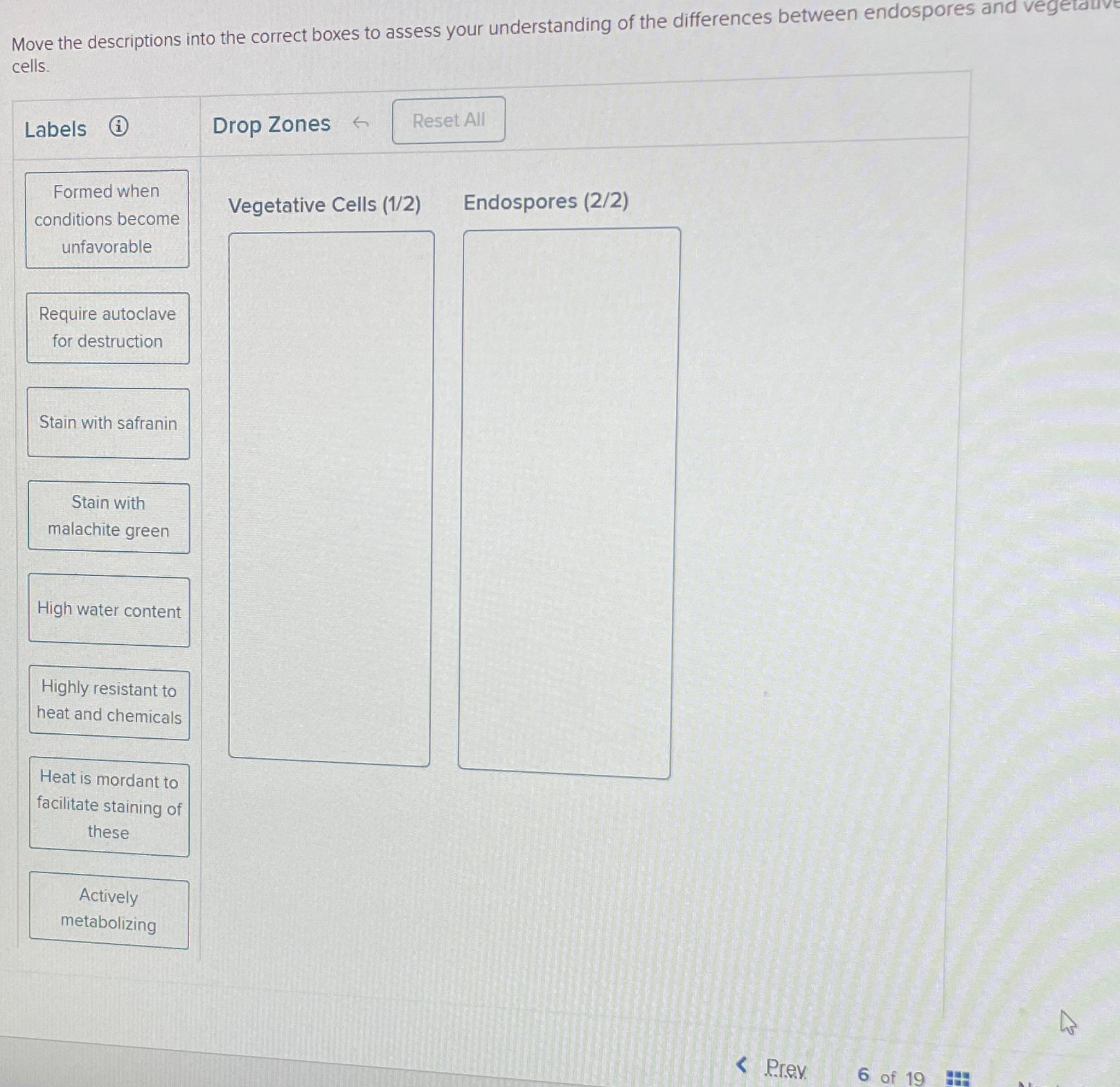 Solved Move The Descriptions Into The Correct Boxes To Chegg