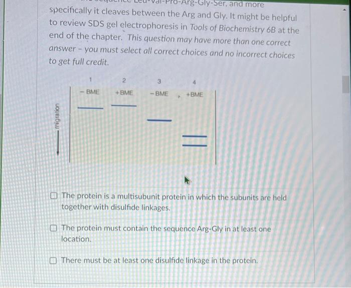 Solved A Protein Gives A Single Band On SDS PAGE Gel Chegg