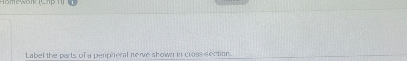 Solved Label The Parts Of A Peripheral Nerve Shown In Chegg