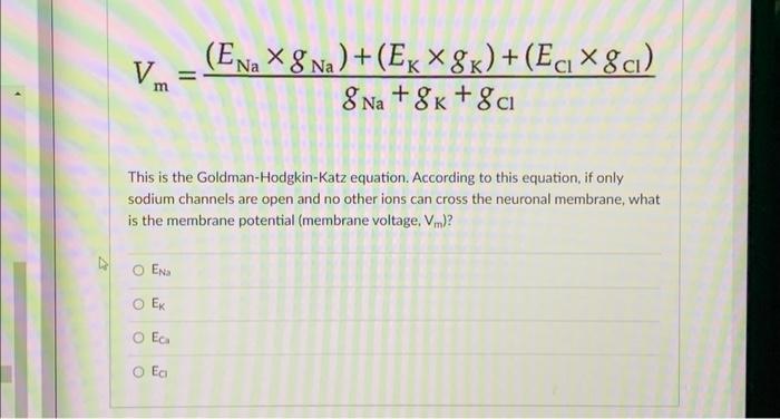 Solved Vm GNa GK GCl ENagNa EKgK EClgCl This Is The Chegg