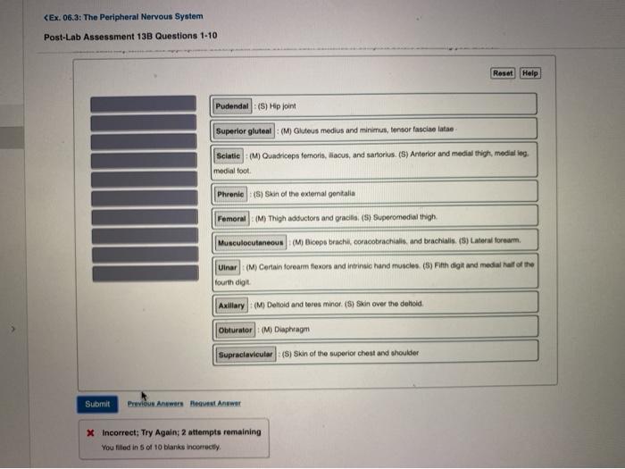 Solved Ex 06 3 The Peripheral Nervous System Post Lab Chegg