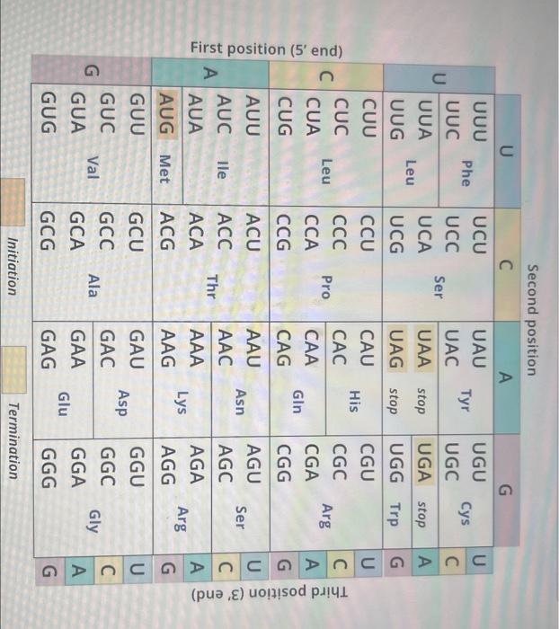 Solved Several Different Mutations Are Known To Cause Cystic Chegg