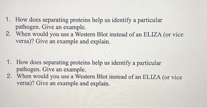 Solved 1 How Does Separating Proteins Help Us Identify A Chegg