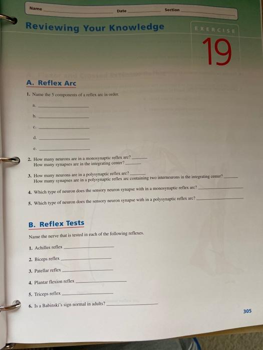 Solved Name Date Section Reviewing Your Knowledge EXERCISE Chegg