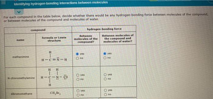 Solved Identifying Hydrogen Bonding Interactions Between Chegg