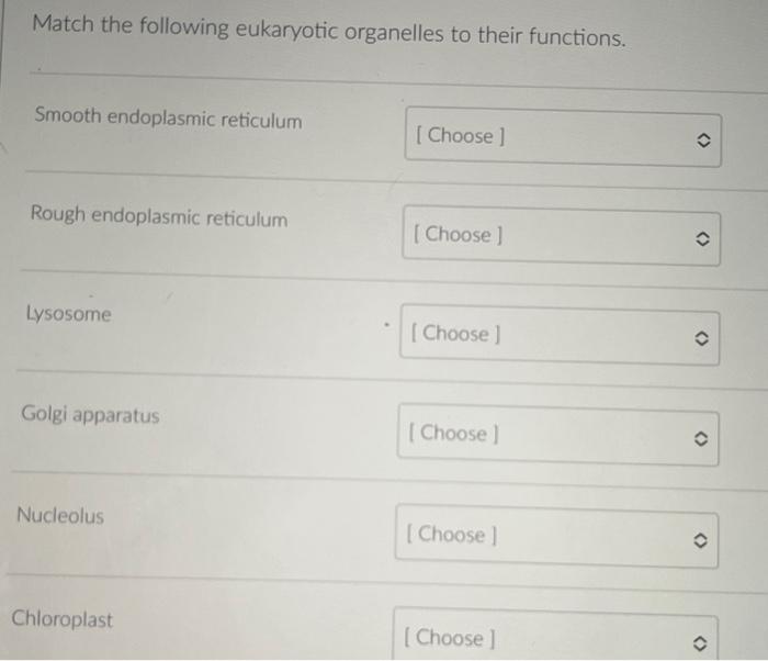 Match The Following Eukaryotic Organelles To Their Chegg