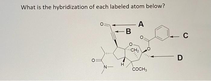 Solved What Is The Hybridization Of Each Labeled Atom Be